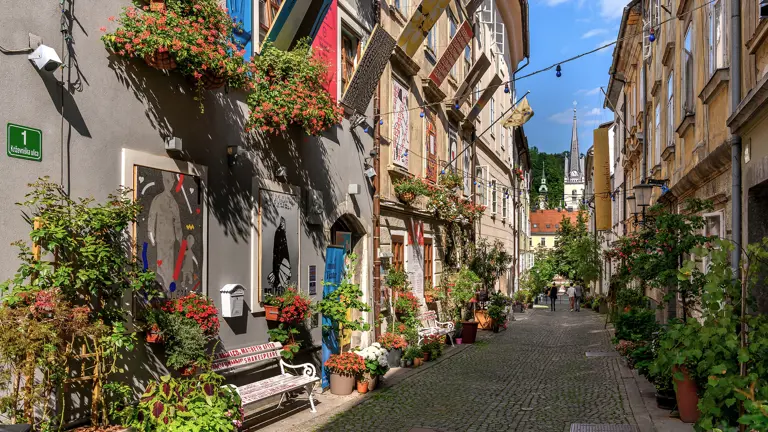 A scenic view of a landscape