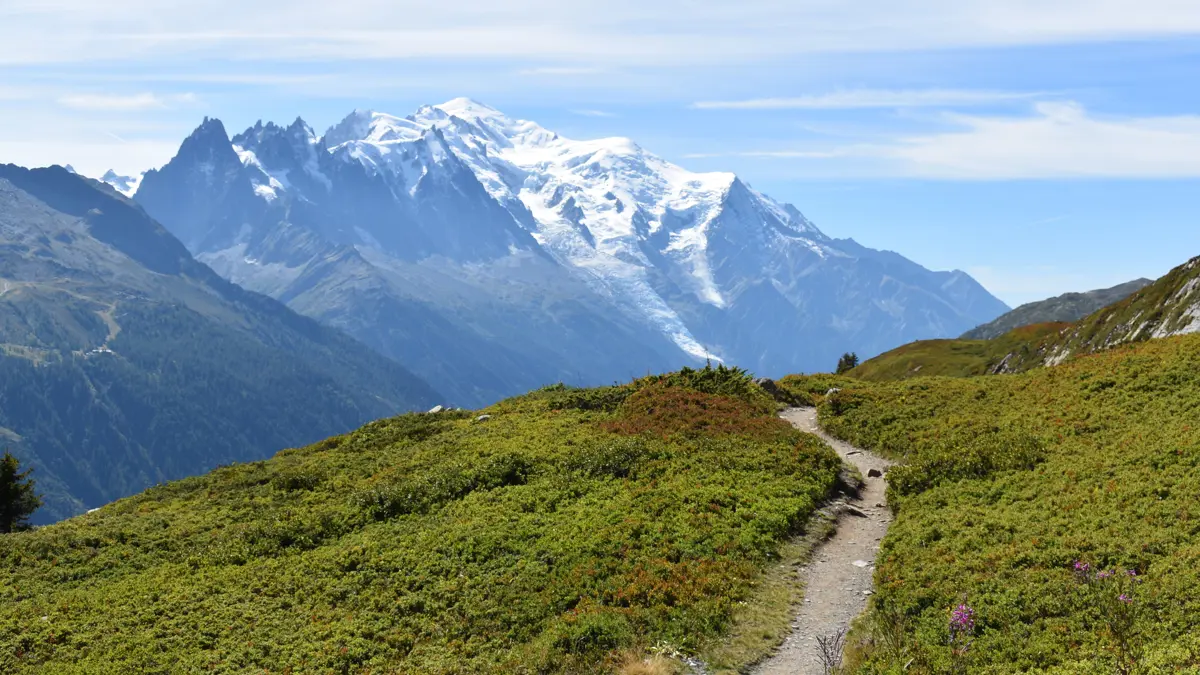 Chamonix Aiguilette Des Posettes Inghams Guided Walk Chamonix
