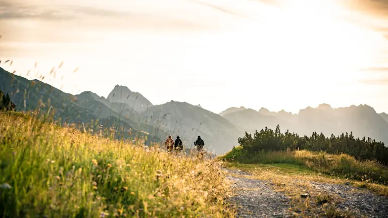 A scenic view of a landscape