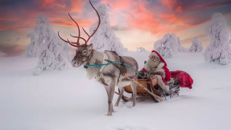 Lapland Excursion Meet Santa 1