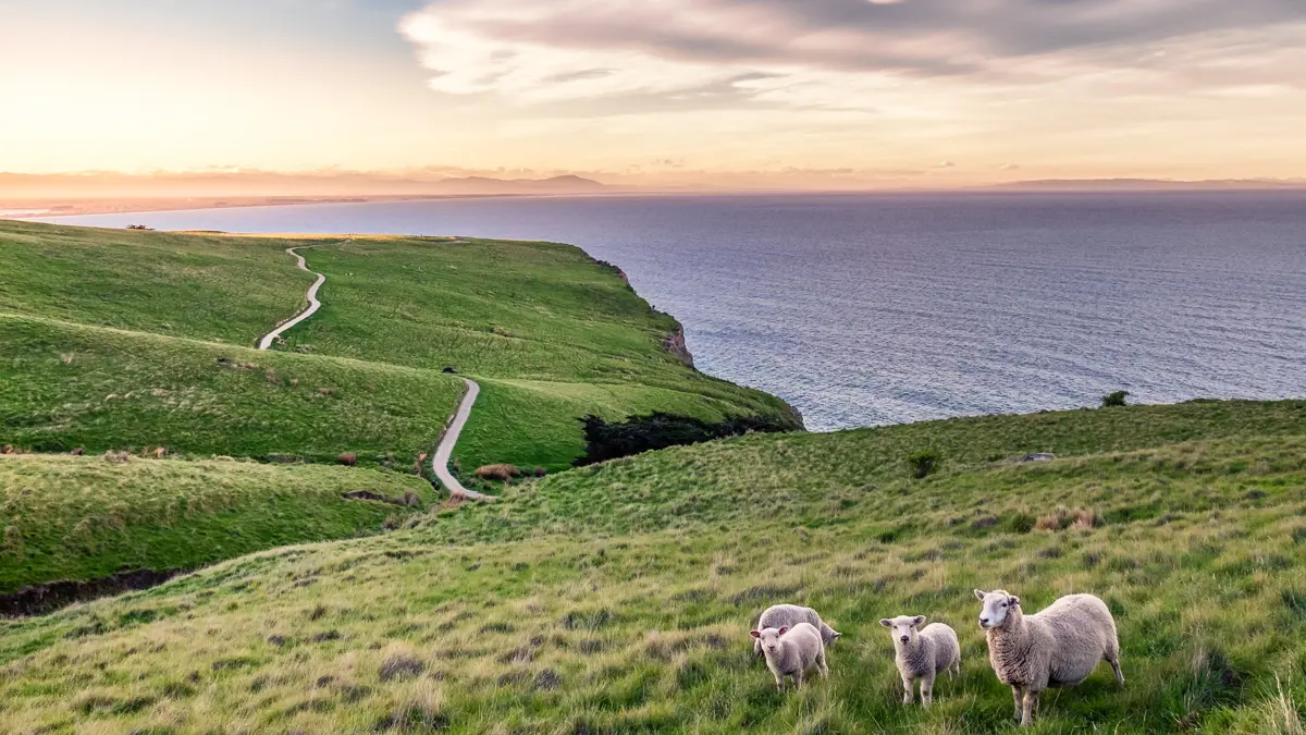 Christchurch New Zealand