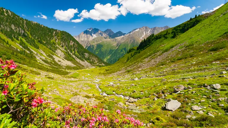 A scenic view of a landscape