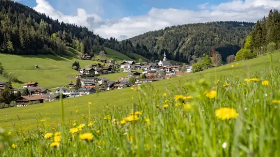 Oberau Summer View Copyright TVB Wildschoenau Dabernig