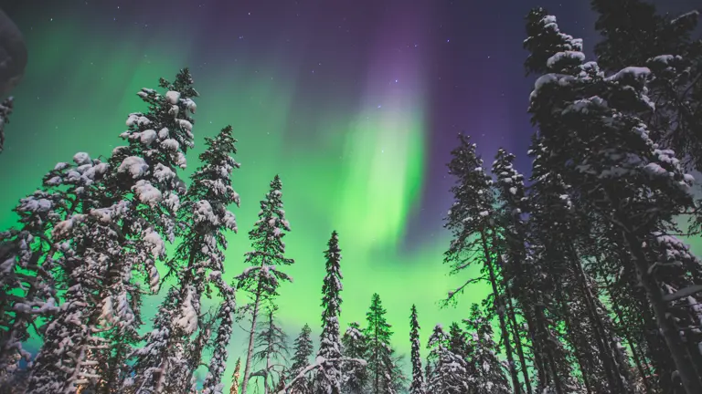 A scenic view of a landscape