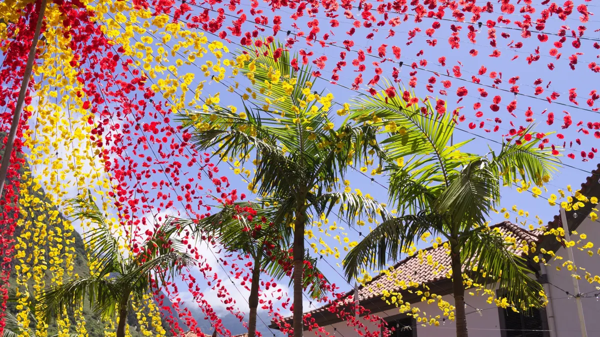 Funchal Flower Festival