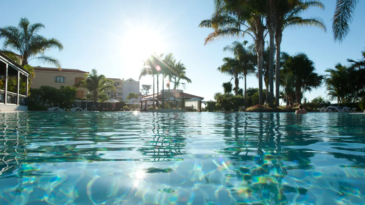 Hotel Porto Mare Funchal Pool And Palmtrees