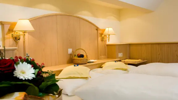 Superior Austrian twin room