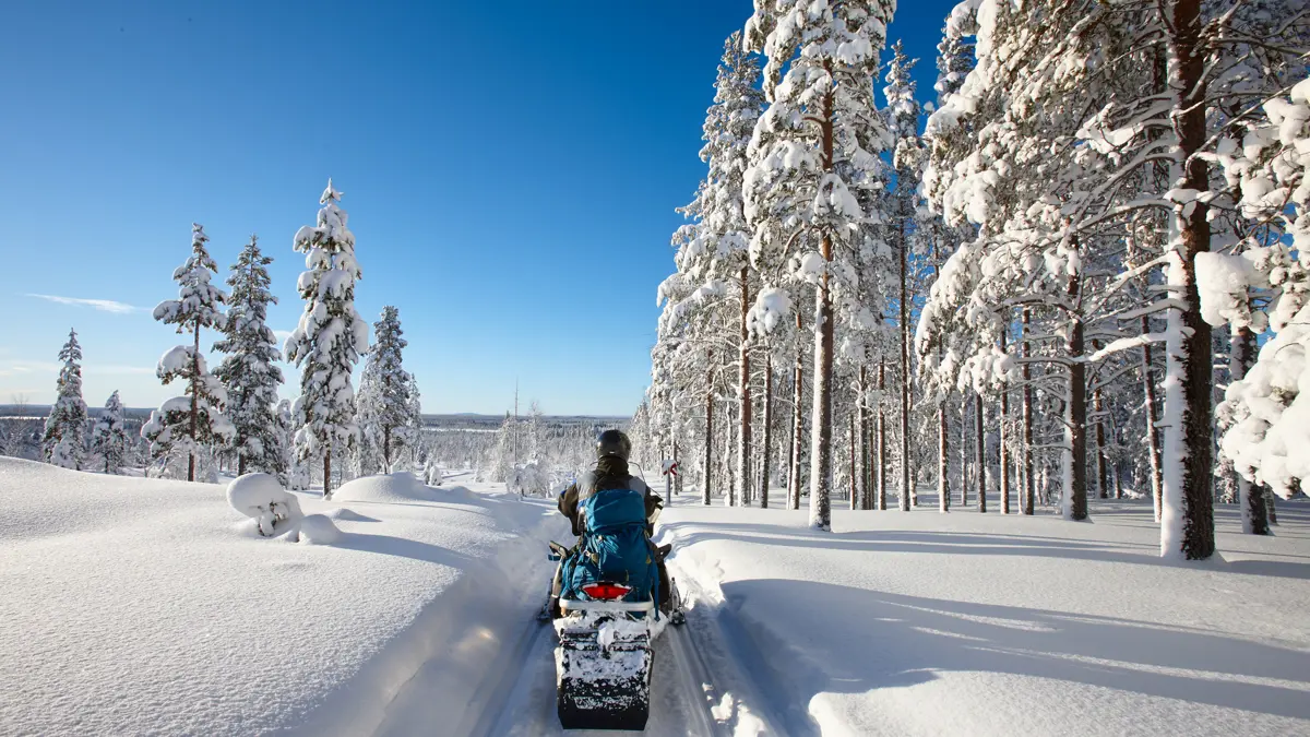 Lapland Excursion Snowmobile 3