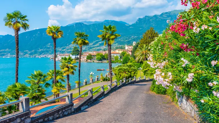 A scenic view of a landscape