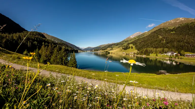 A scenic view of a landscape